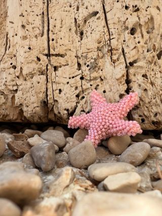 Zrozená z moře, schovaná mezi kameny, čeká na svou novou majitelku. 🌸💫 #háčkovanábrož #hvězdice #handmade #letnidoplnek...